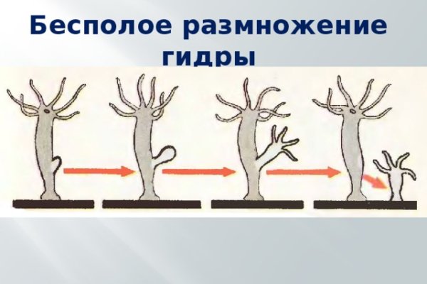 Кракен at сегодня работает ли
