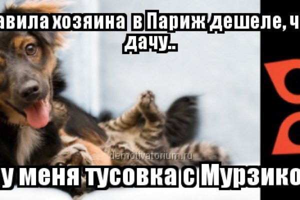 Кракен сайт закладок