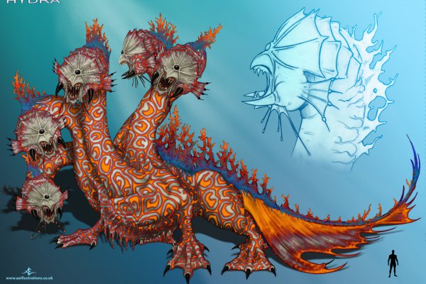 Kraken shop